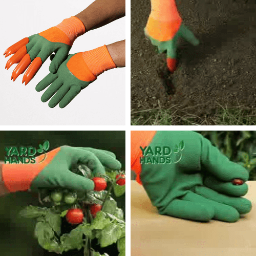 Al momento stai visualizzando Yard Hands